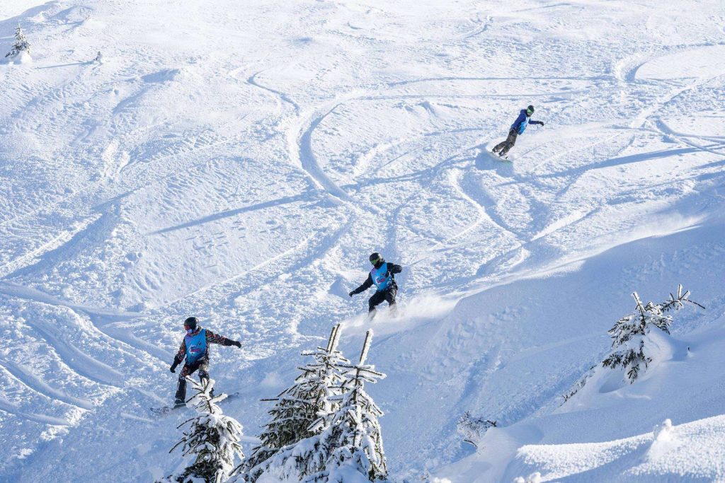 Snowboarders carving down a snowy mountain slope with pine trees in the foreground.