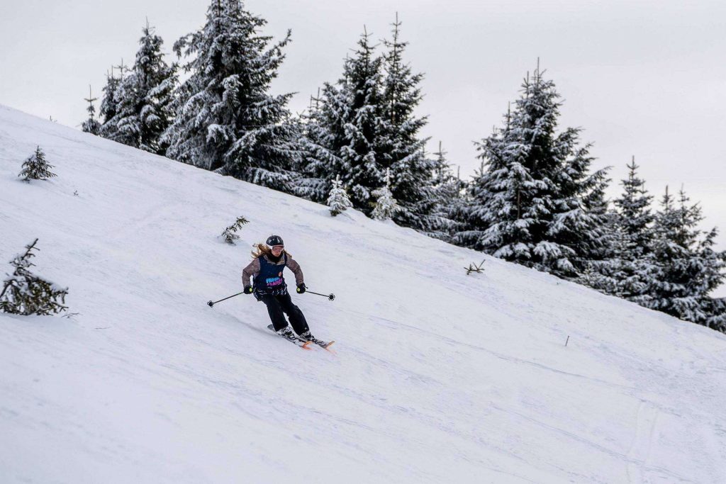 Skier descending a snow-covered slope with evergreen trees dusted in snow in the background.
