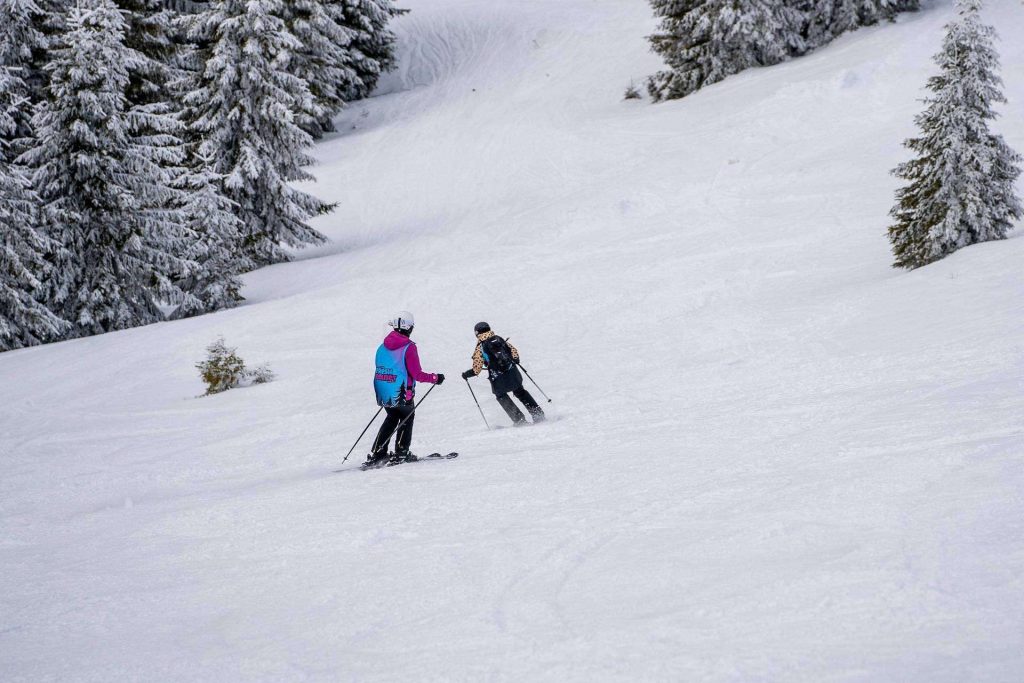 Two skiers gliding down a snowy slope beside snow-covered evergreen trees.
