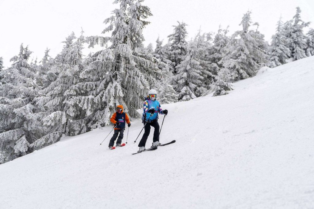 Two skiers in bright gear descend a snowy slope, with snow-covered evergreen trees in the background.