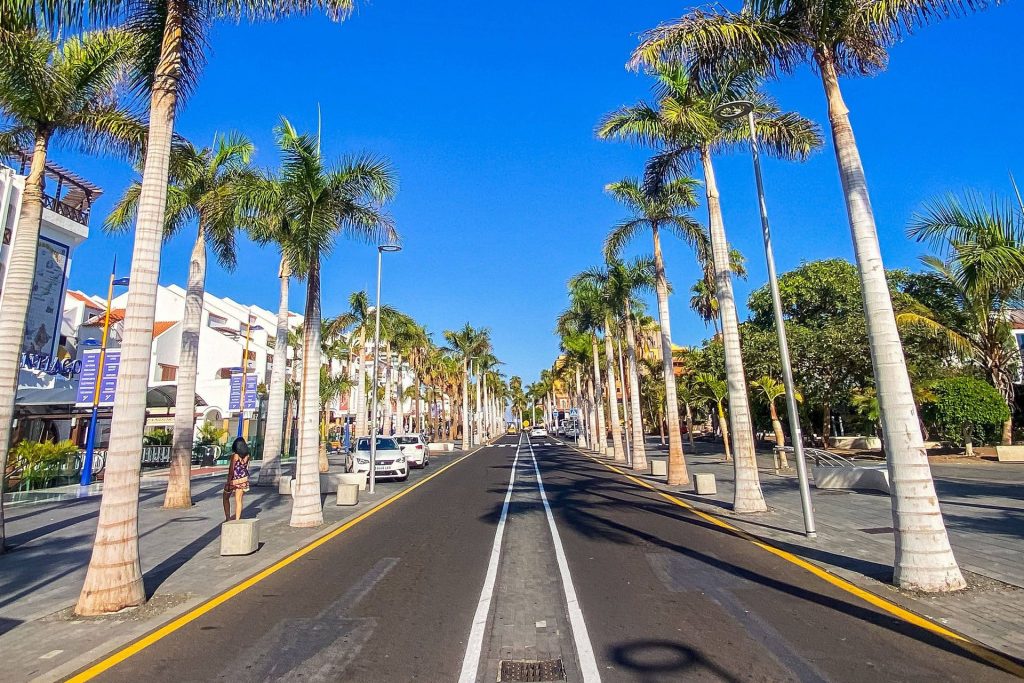 Wide city street lined with tall palm trees on both sides under a bright blue sky; parked cars along the curb.