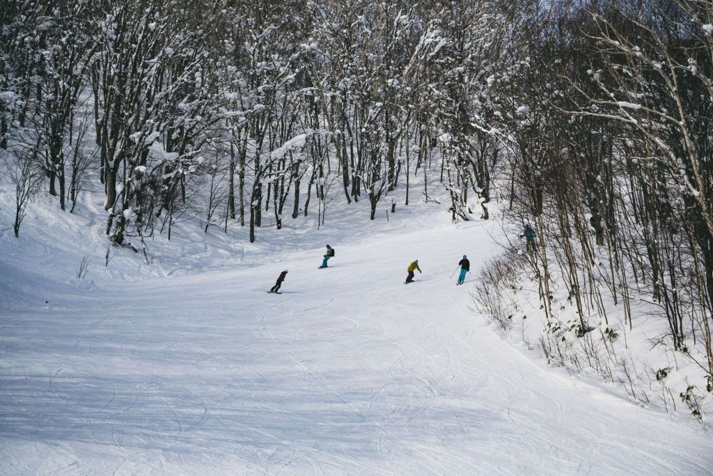Skier group descending a snow-covered slope surrounded by bare trees in a wintry forest.