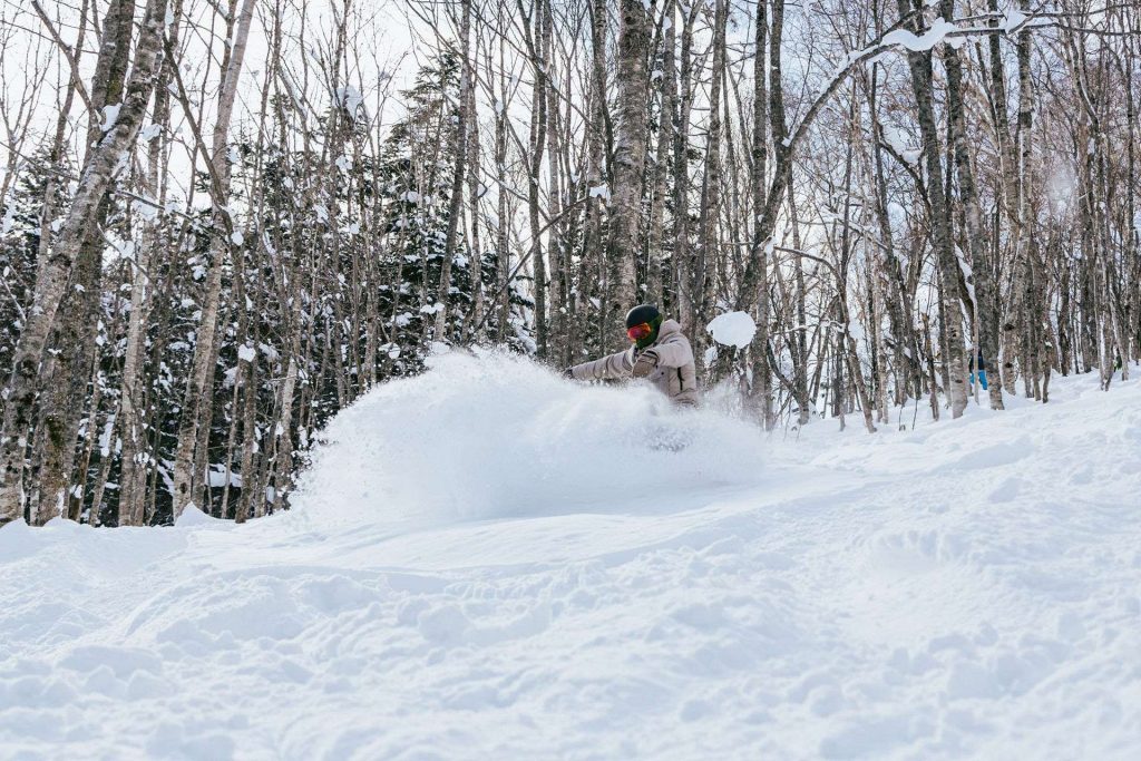 Person skiing through fresh powder in a snow-covered forest, spraying snow as they turn between thin trees.