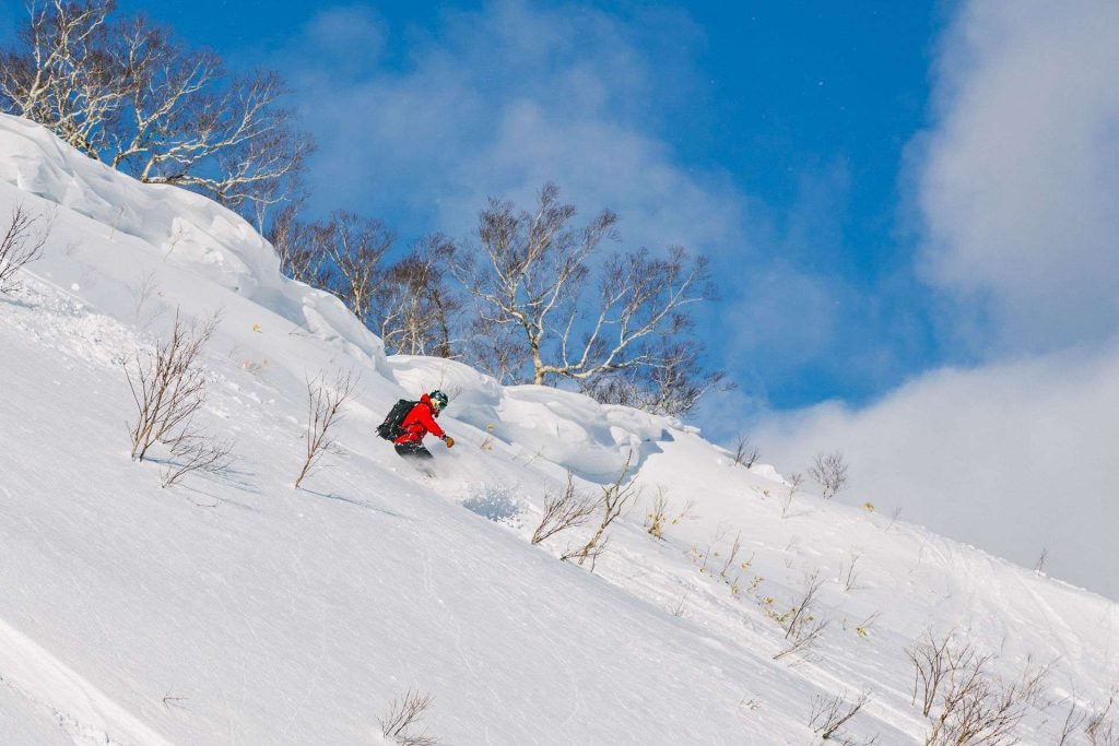 Skier in a red jacket descending a snowy slope with bare trees against a blue sky.